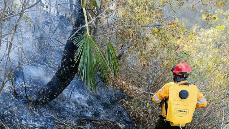 incendio forestal en Chilpancingo