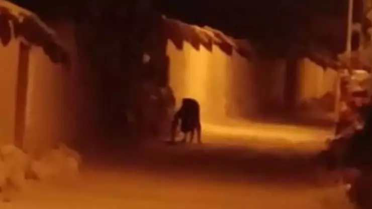 El escalofriante video de TikTok que asusta a internautas