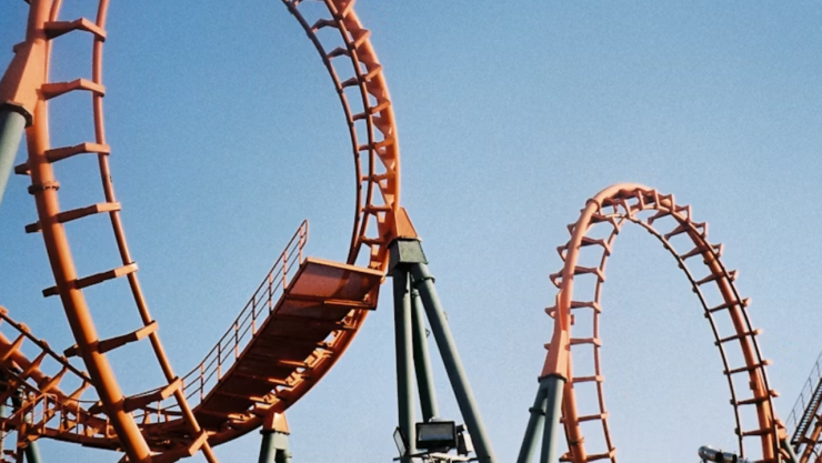 Shock en la montaña rusa: pato golpea a una mujer y queda inconsciente