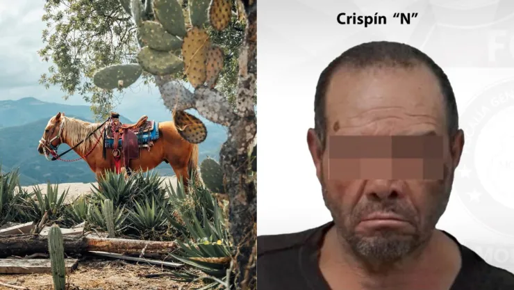 caballo y homicida en Tetela del Volcán, Morelos.