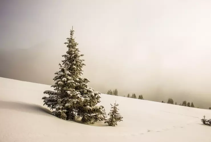 Hombre sin hogar muere de frío, intentaba pasar Navidad con su familia