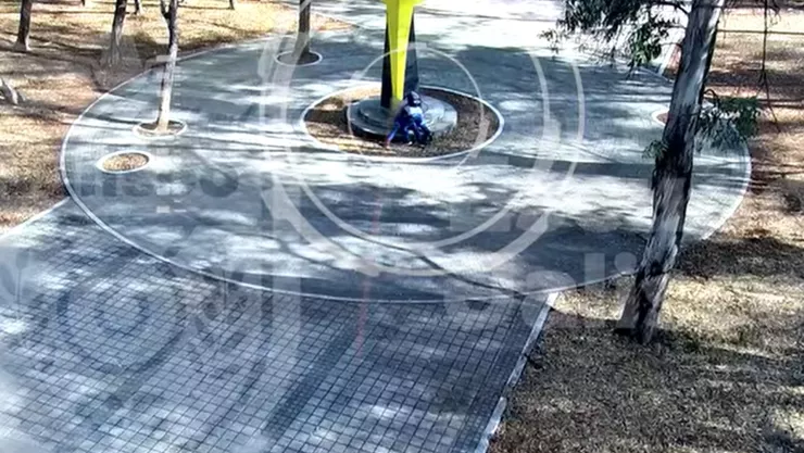 VIDEO | Captan BRUTAL agresión contra una mujer dentro del parque González Gallo