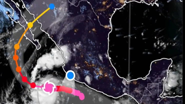 Trayectoria EN VIVO