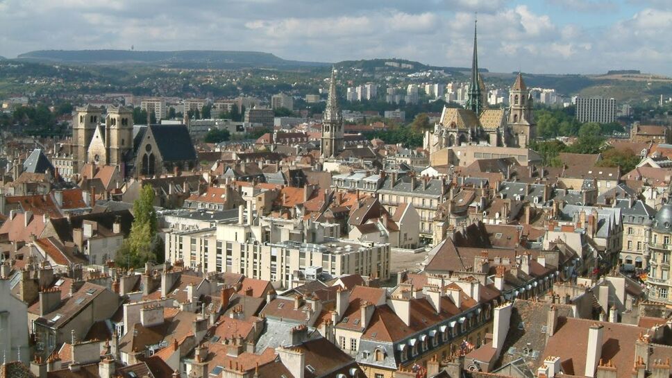 dijon3.jpg