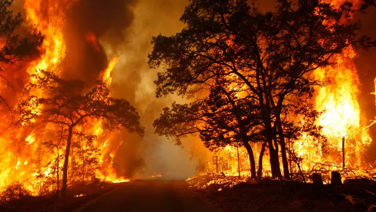 El incendio forestal de Texas mantiene la preocupación.jpg