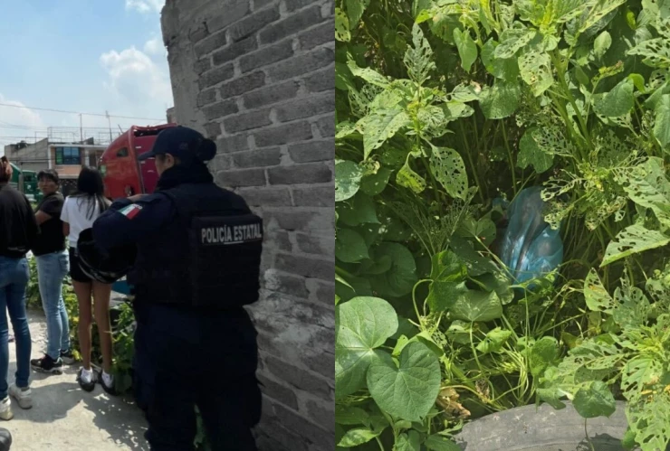 Abandonan-en-una-bolsa-a-recién-nacido-en-Valle-de-Chalco