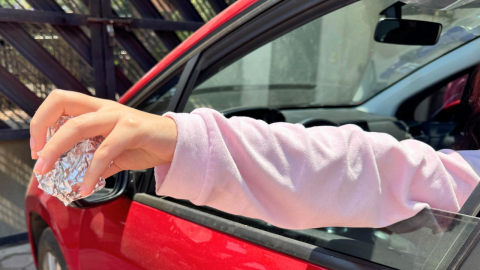 multas por basura desde el auto