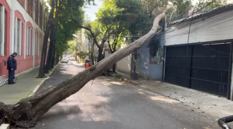 Accidentes en CDMX HOY: Calles afectadas hoy por socavones, baches y fugas de agua este miércoles; zonas afectadas
