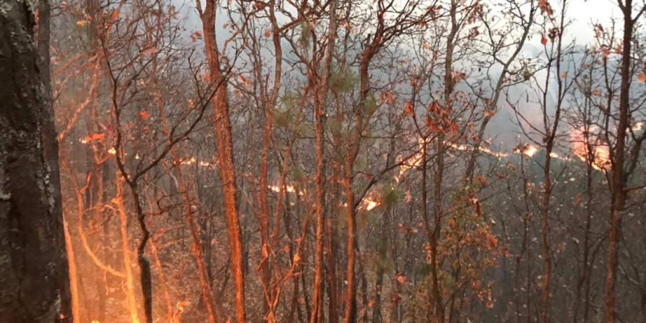 Arde cerro La Joyita en Agostitlán (3).jpeg