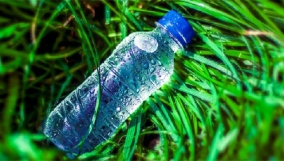 Aguas alcalinas