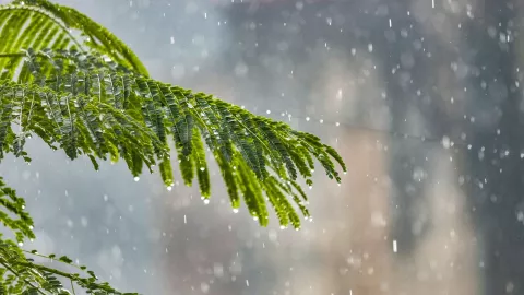 Lluvia en Aguascalientes ¿A qué hora comenzará a llover el lunes 16 de junio 2025