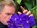 Gavito con flor morada.jpg