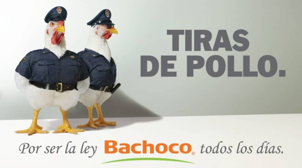 Tiras de pollo Bachoco.jpg