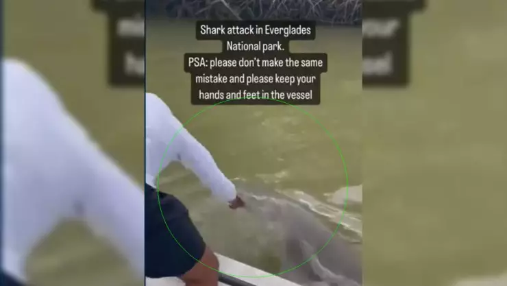 Ataque de tiburón contra pescador se viraliza, VIDEO