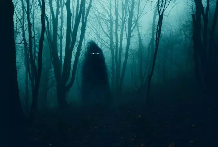 ¿Es un nahual? Captan aterrador momento en el que un perro se convierte en persona