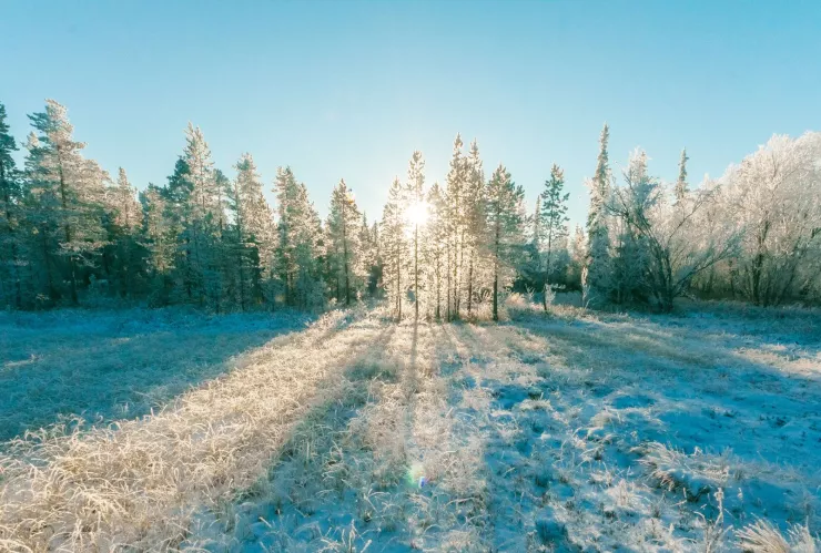 ¿Cuándo llega la tormenta invernal y el Frente Frío 30 en México Estados con bajas temperaturas