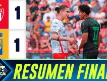 RESUMEN FINAL necaxa.png