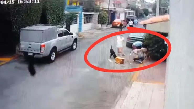 Ataque de pitbull en Naucalpan