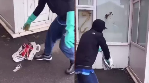 Perro del vecino hace sus necesidades