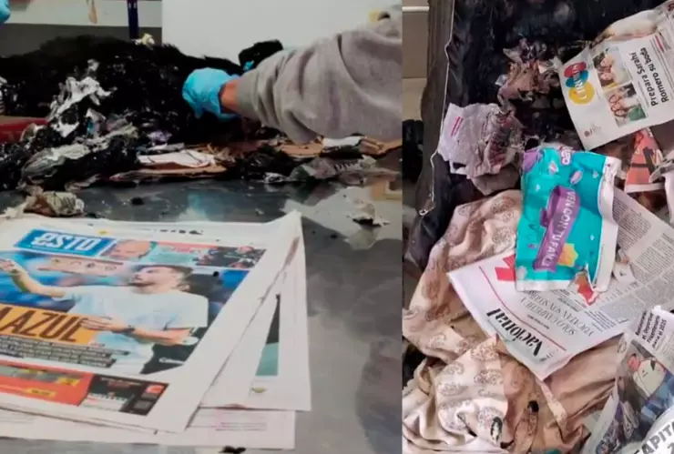 Rescatan a perrita que fue aventada a un tambo de chapopote en Chihuahua