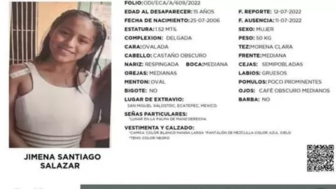 Desaparición de Jimena Santiago 