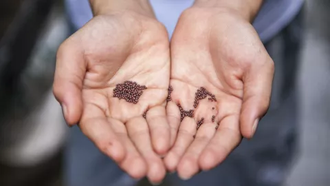 Sobregiro del planeta: Se acaban los recursos que la Tierra puede producir en un año.