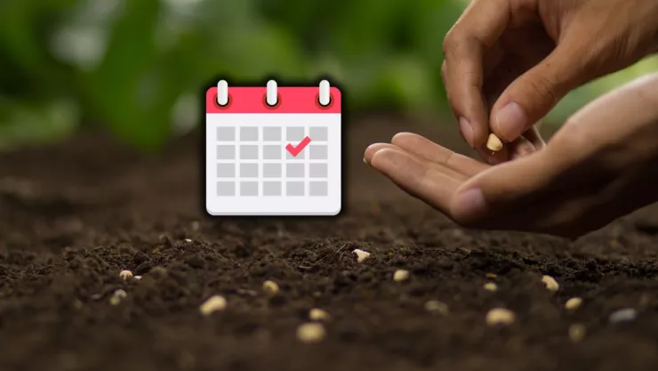 /estilo-de-vida/vegetales-ideales-sembrar-abril-hortalizas