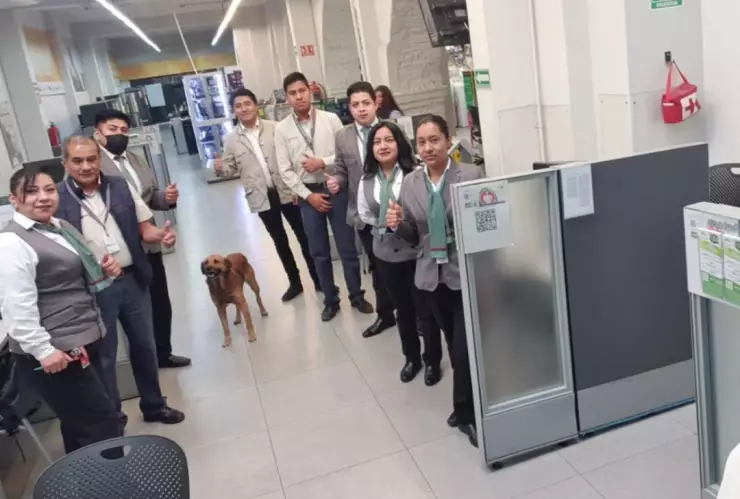 tienda elektra Merco Talento 2023