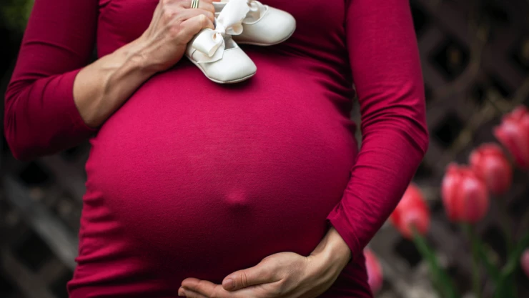 Licencia de maternidad