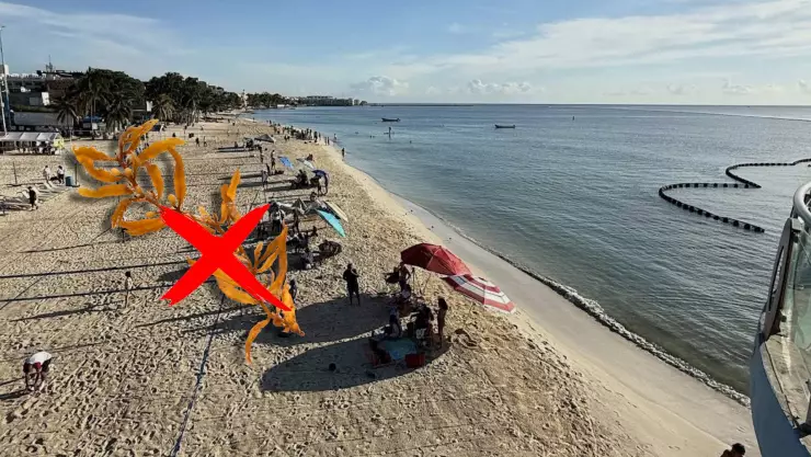 Previo a Semana Santa 2026: Estas son las playas de Quintana Roo libres de sargazo hoy, 26 de marzo
