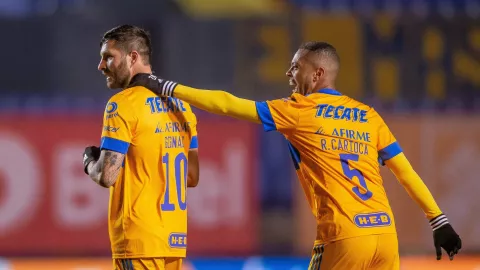 Carioca Botafogo Brasil