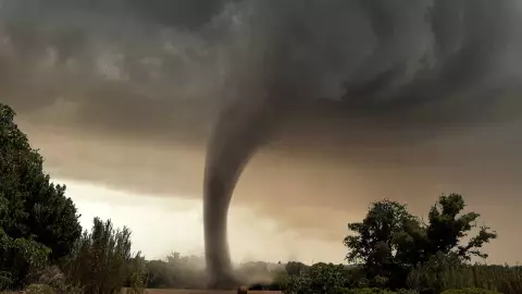 PORTADA tormenta negra en México 2026.jpg
