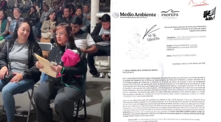 profepa-presenta-denuncia-penal-por-posesion-ilegal-mono-arana-en-ocotlan-jalisco
