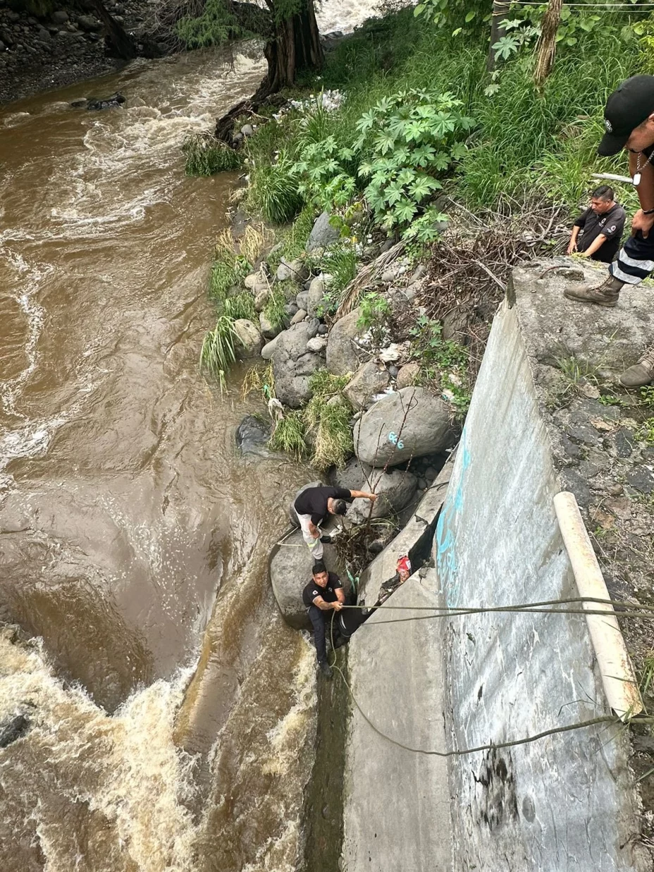 Rescate perrito Temixco