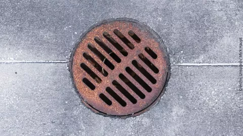 Sobrevive cinco días encerrado en una coladera gracias a huesos humanos.