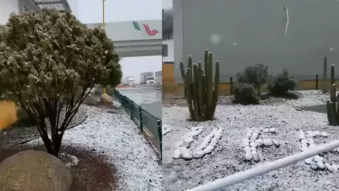 VIDEO ¡NO VAYAS! Cae nieve en las carreteras de La Rumorosa a Tecate