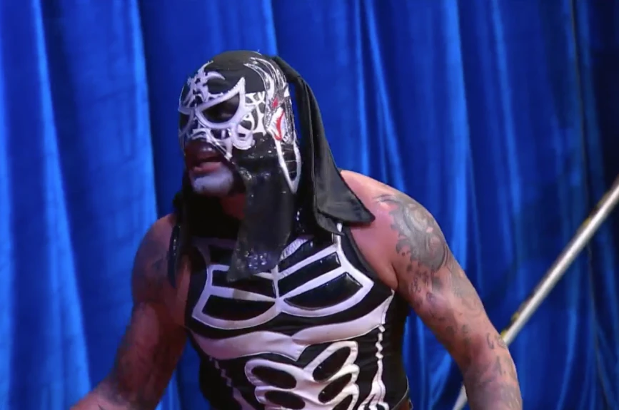 Lucha Fighter