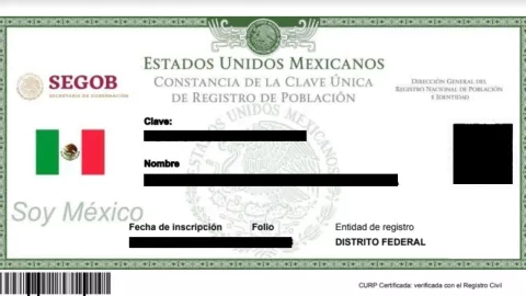 CURP sin foto