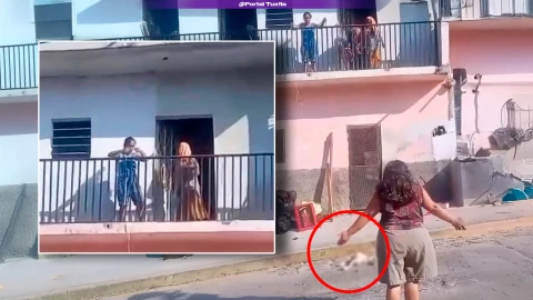 ¡Lanzan a un perrito desde el 2do piso! Video viral denuncia maltrato animal tras desalojo en Las Granjas en Tuxtla Gutiérrez