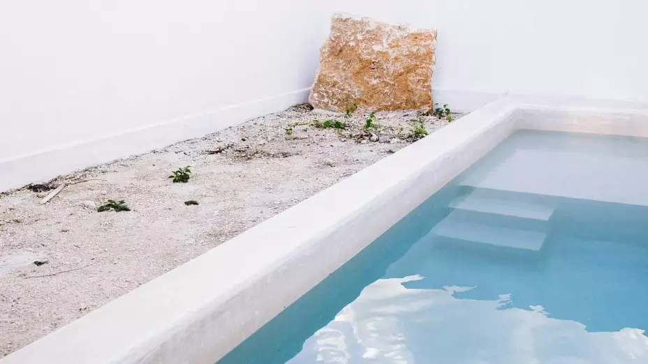 Niña de 1 año murió ahogada una alberca tras ser aventada por su perro