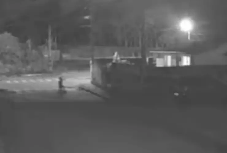 WhatsApp Image 2025-04-25 at 5.21.03 PM.jpeg