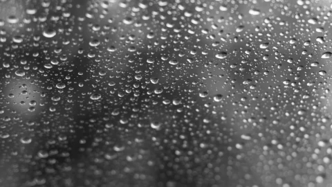 New Project - 2026-03-08T081955.936.png