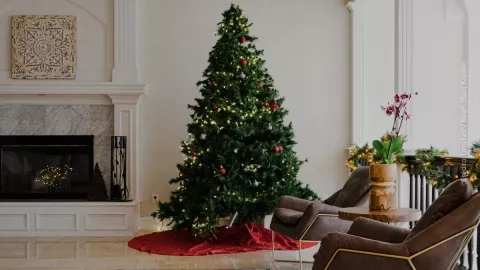 ¿Cómo podemos evitar accidentes con el arbolito de Navidad?