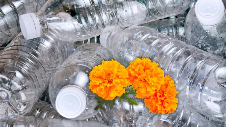 No tires las botellas de plástico: reutilízalas para crear flores de cempasúchil para el altar del Día de Muertos