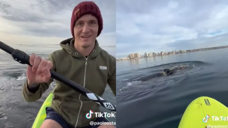VIRAL Tres orcas se acercan a lancha de pareja en Argentina