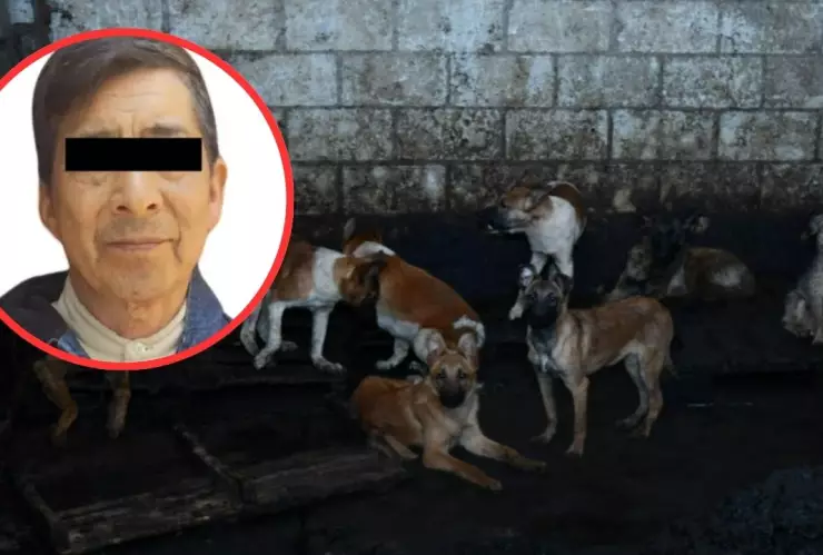 Detienen a presunto vendedor de barbacoa de perro en Estado de México