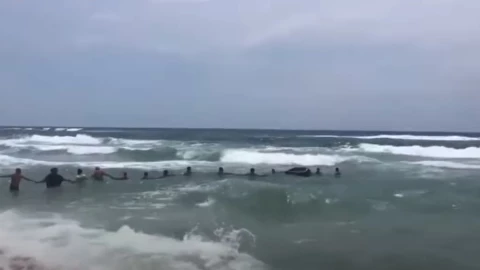 Cadena humana, Florida.jpg