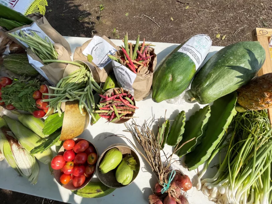 Sembrando Vida Ver.jpg