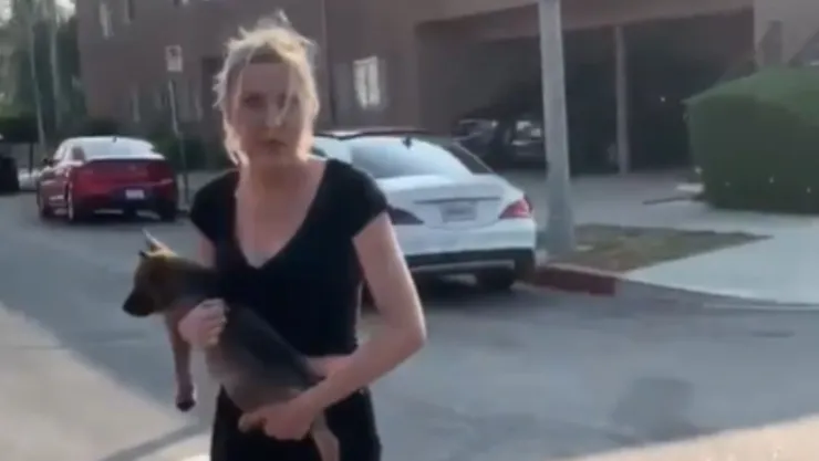 Mujer lanza cachorro contra hombre