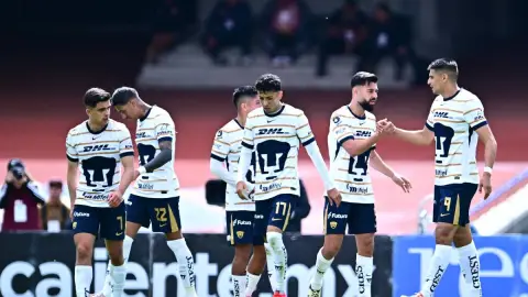 Pumas